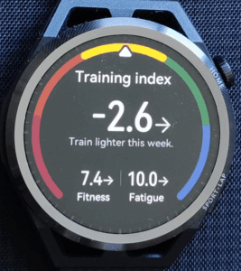 Training-Index